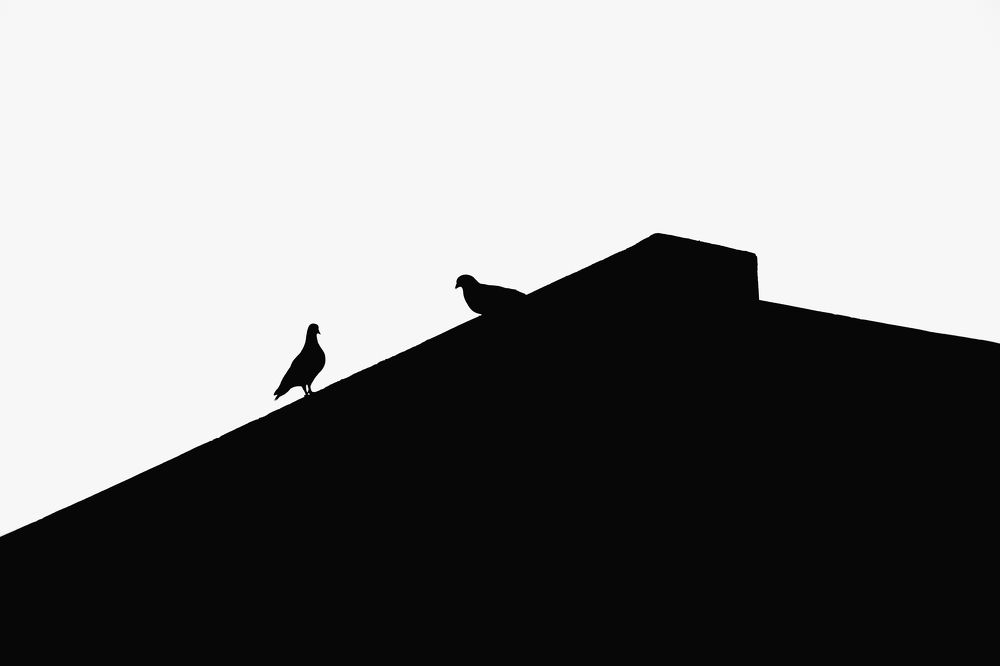 Photograph by Rahul Kashyap