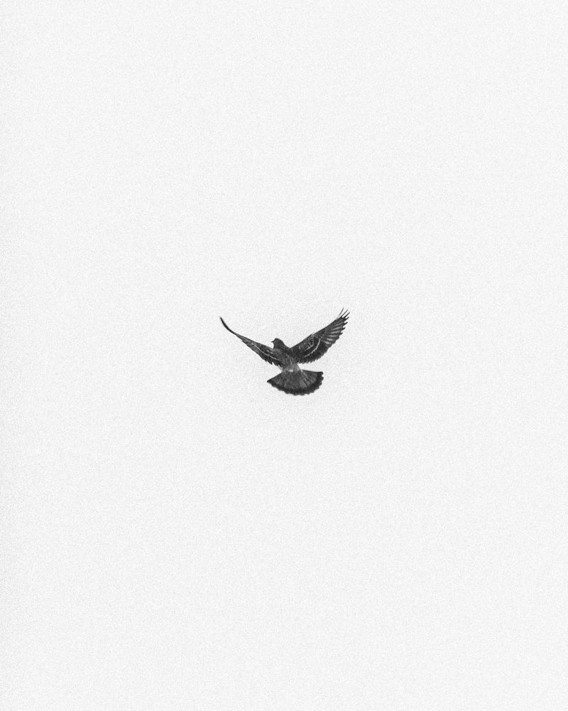 Photograph by Rahul Kashyap