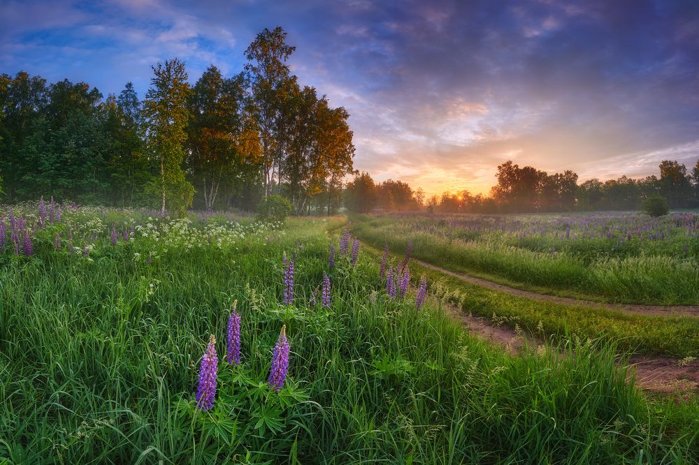 Photograph by Konstantin Voronov