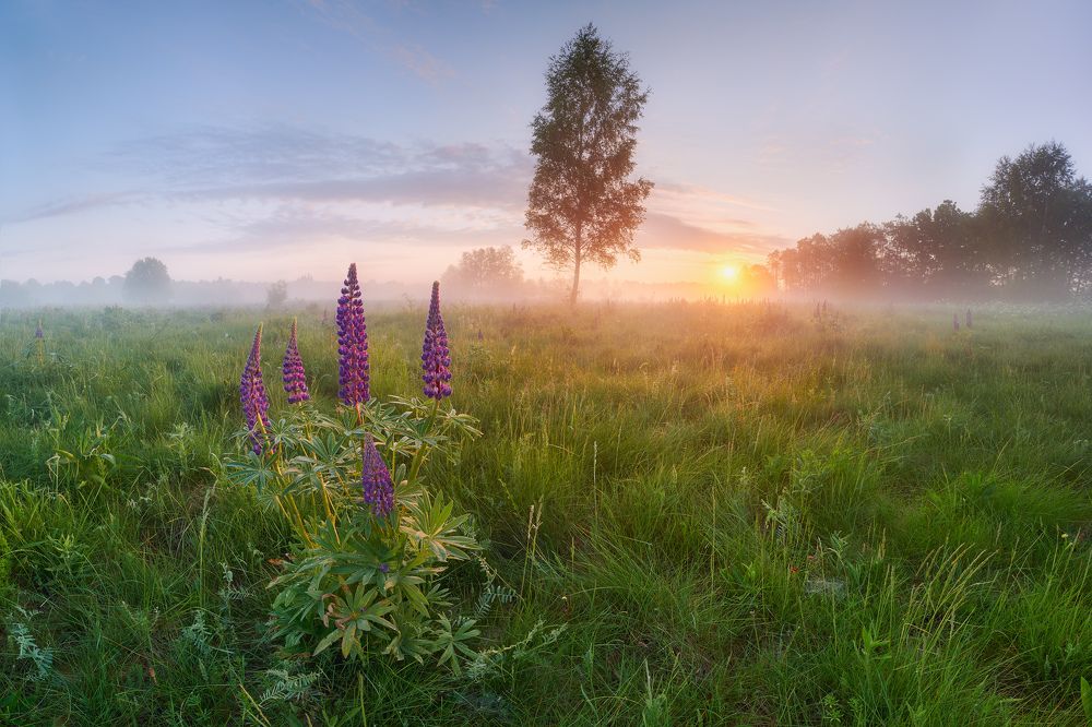 Photograph by Konstantin Voronov