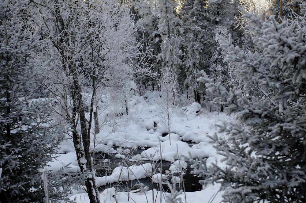 Photograph by Эльвира Быкова