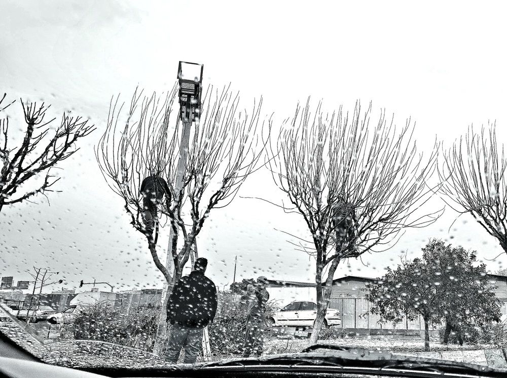 Photograph by Rahele Almassi