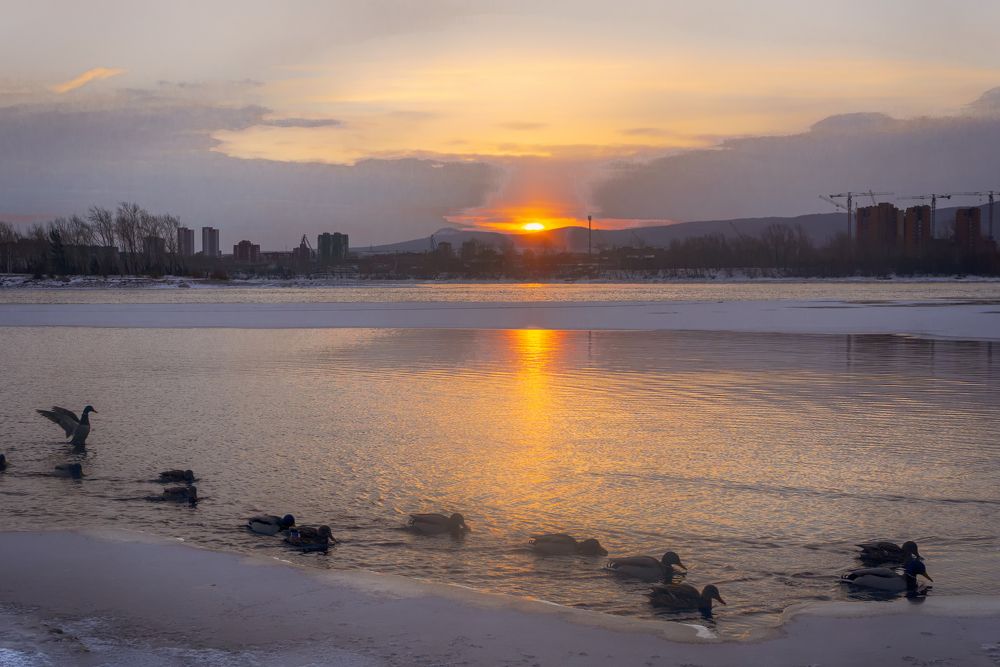 Photograph by Александр Пургин