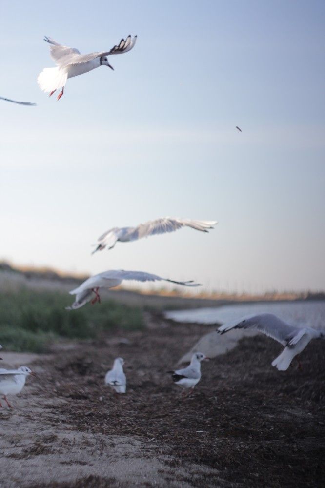 Фотография автора Валерия Правдюк