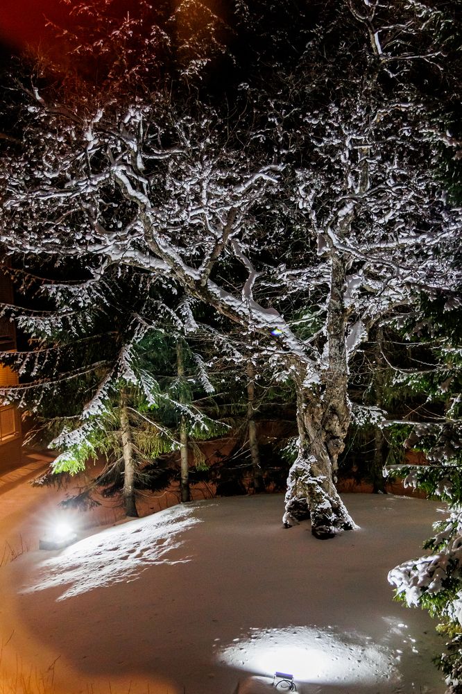 Фотография автора Артур Петросян