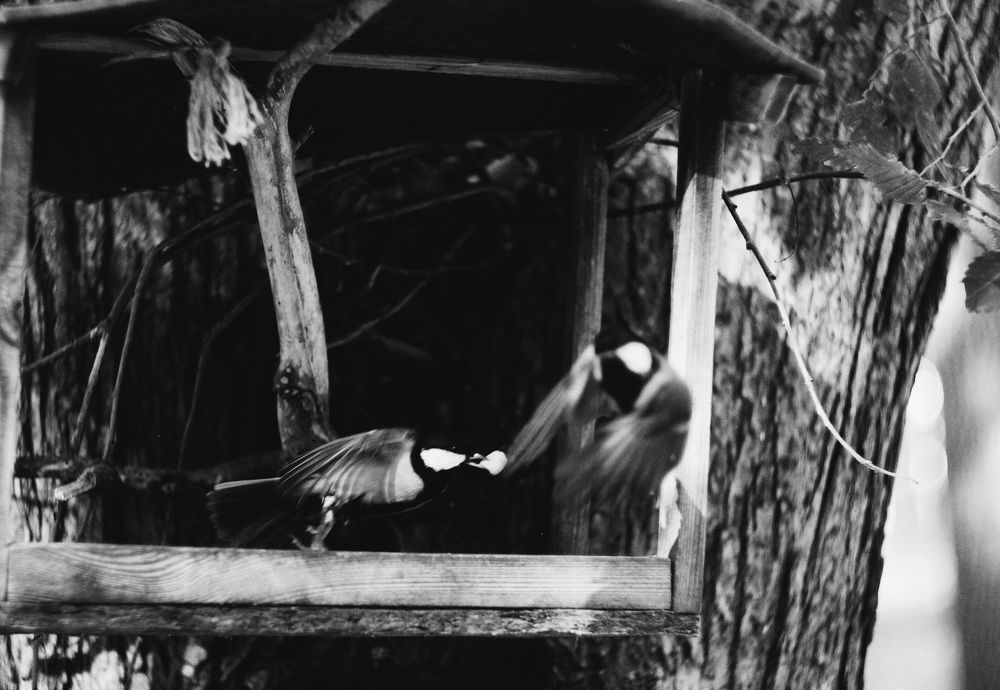 Фотография автора Валерия Правдюк