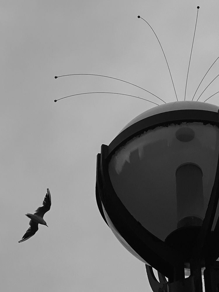 Photograph by Светлана Ионова