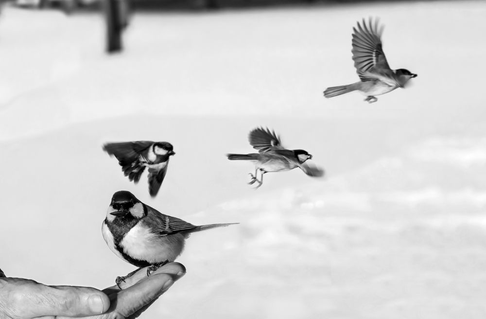 Photograph by Иван Логвинов