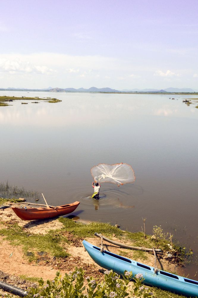 Photograph by MADUSHANKA KEERTHIRATHNA SUSEWHEWAGE DHANUSHKA