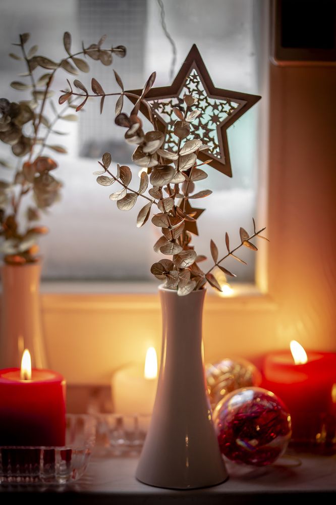 Photograph by Katja Sen