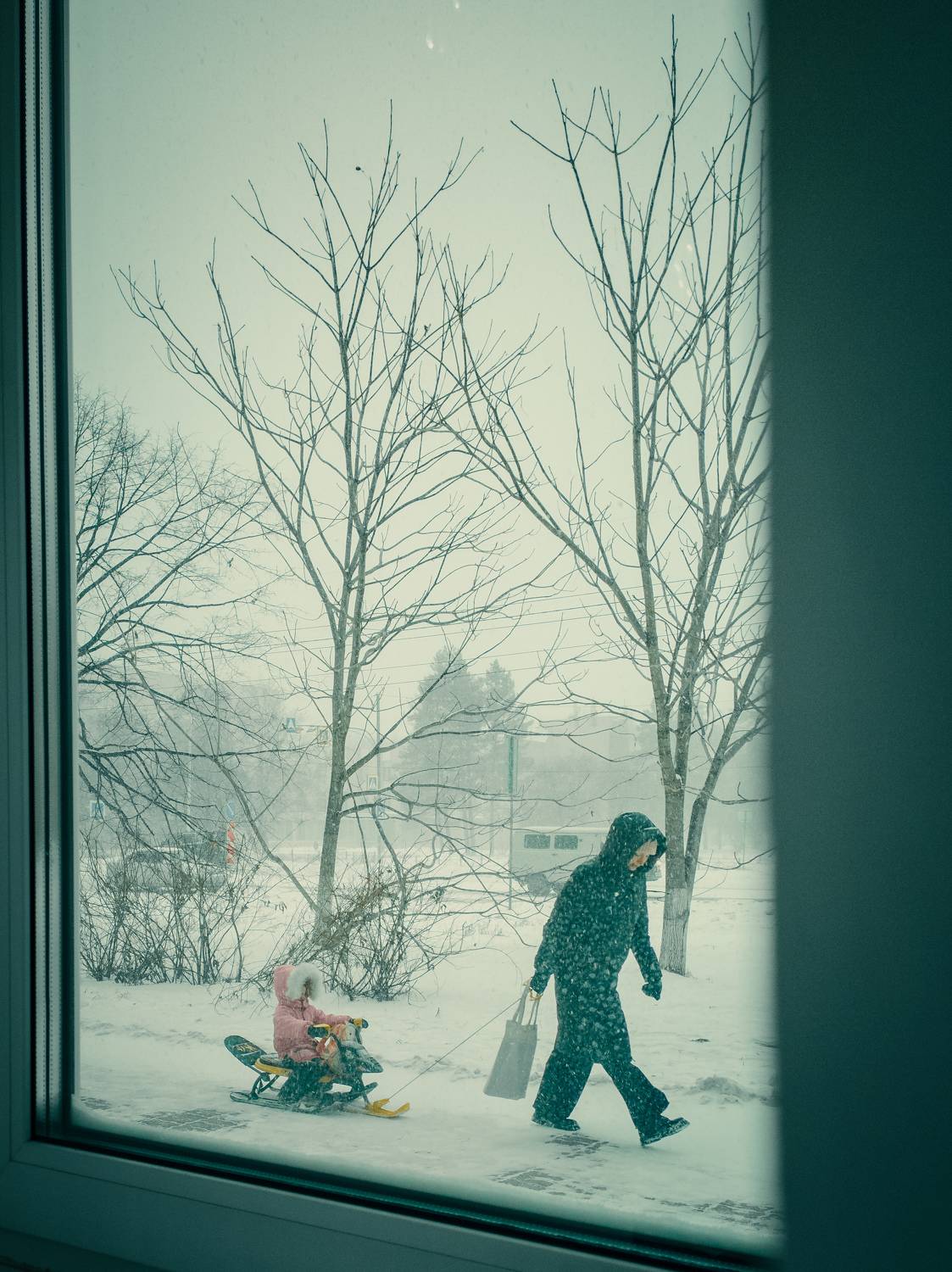 Photo #8551343