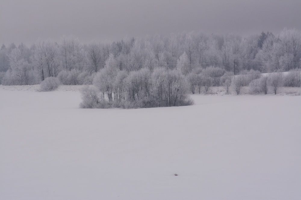 Photograph by Сергей Симаков