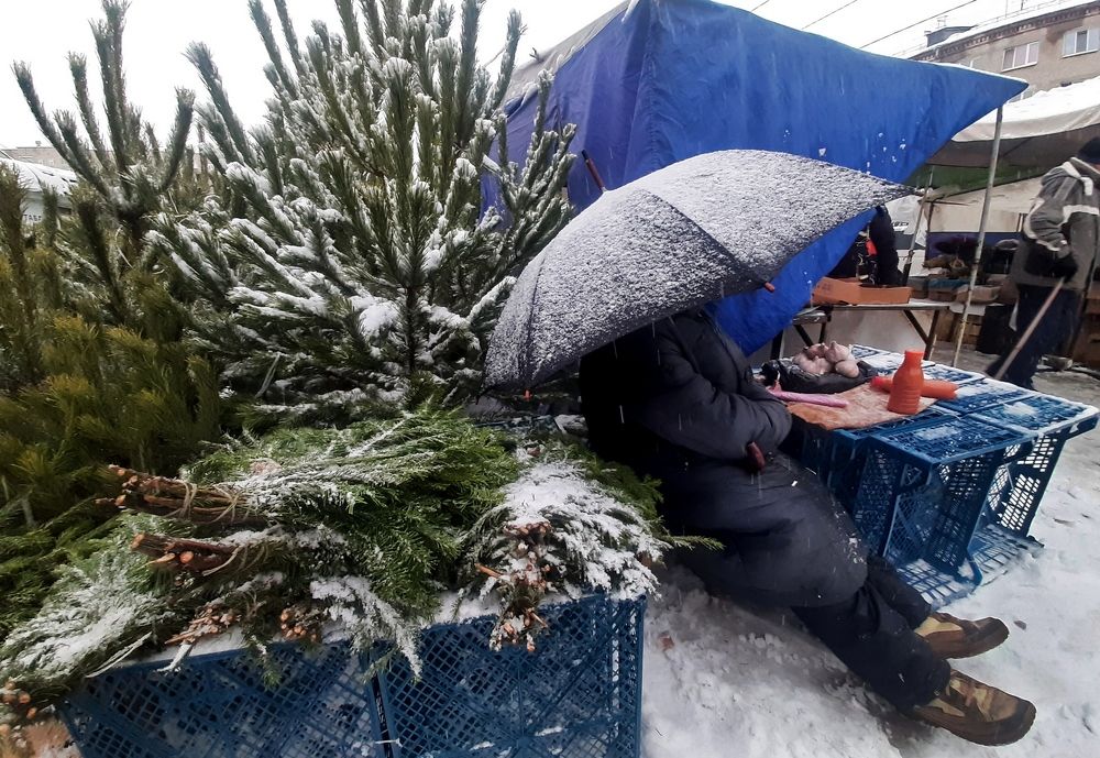 Фотография автора Владимир