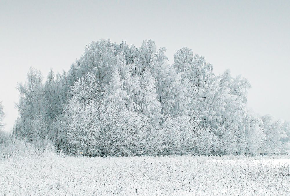 Фотография автора Frost Дмитрий