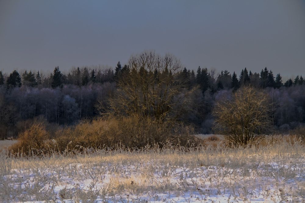 Photograph by Дмитрий Селицкий