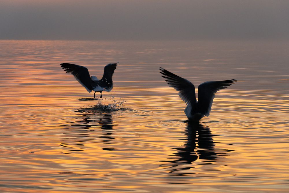 Фотография автора Марина Тирских