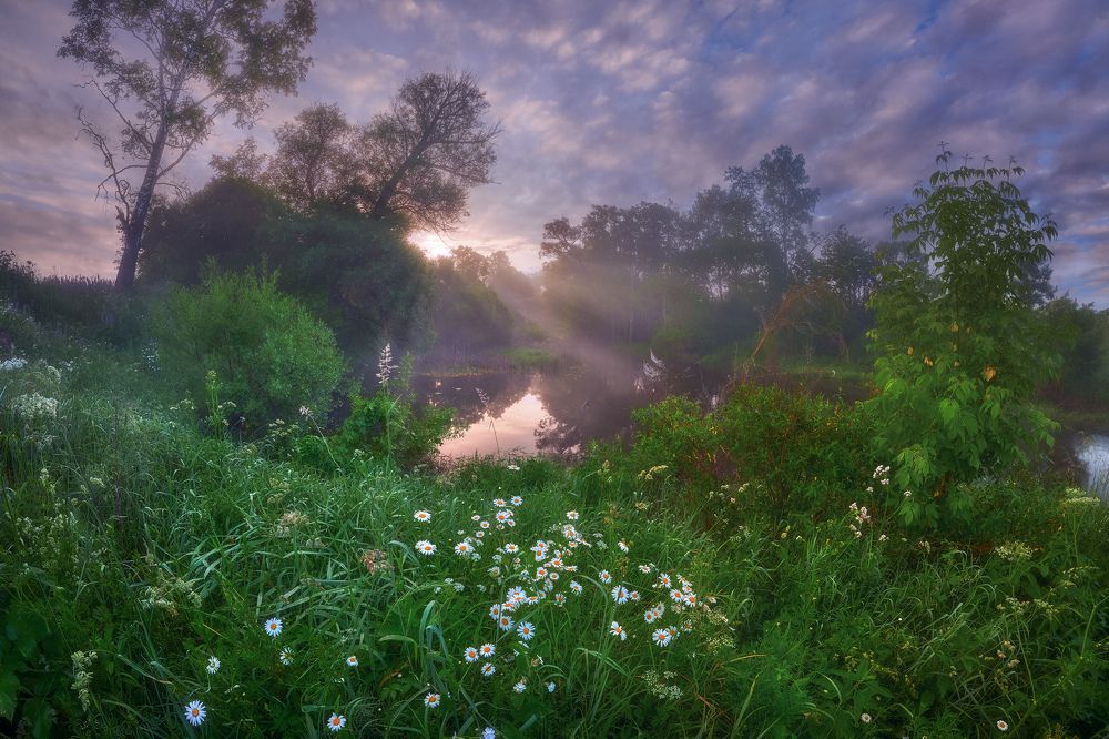 Photograph by Konstantin Voronov