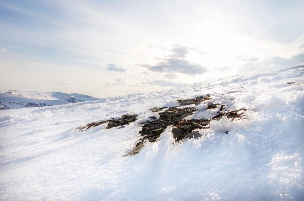 Photograph by Tatiana Kravchuk