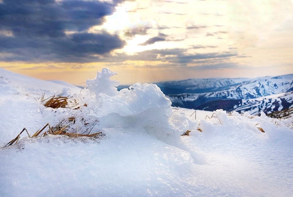 Photograph by Tatiana Kravchuk