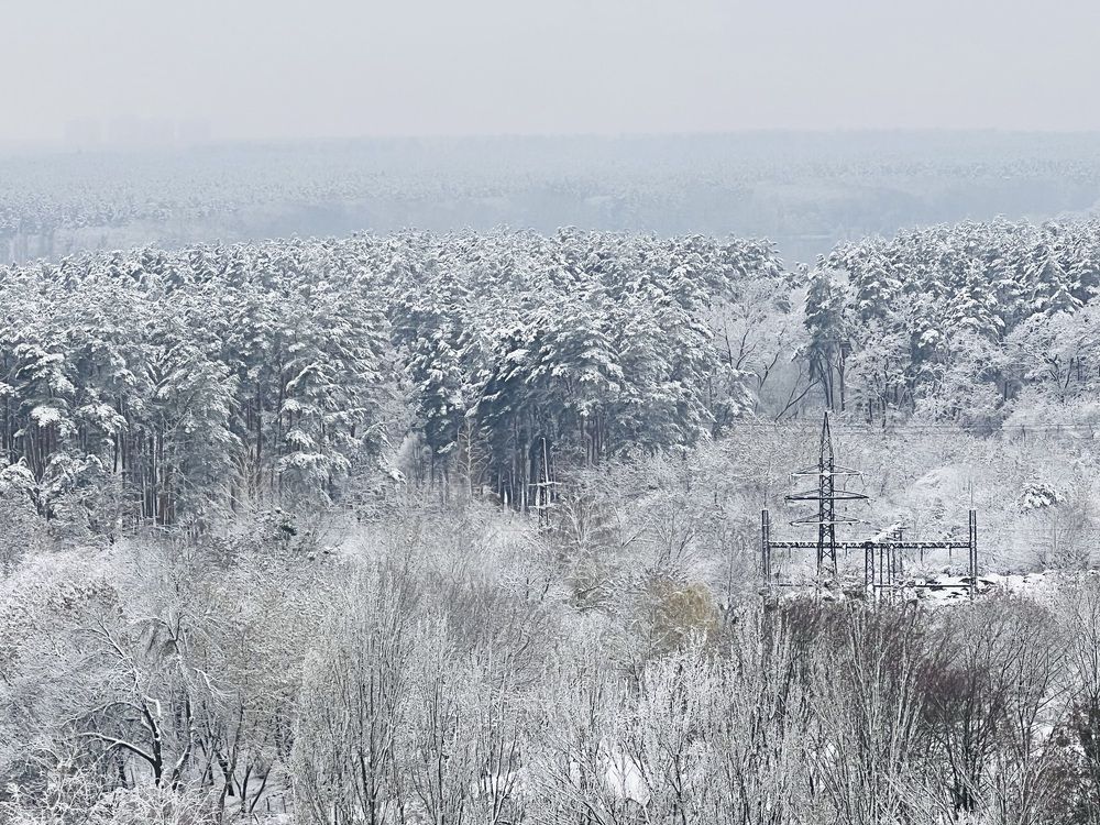 Photograph by Tatiana Kravchuk