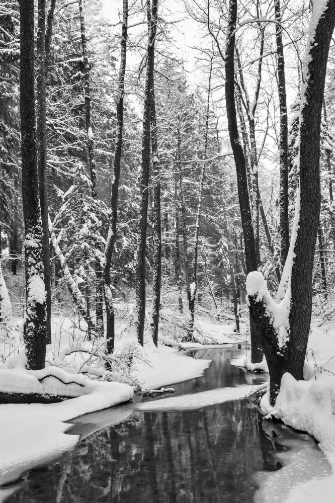 Photograph by Aleksander Perevolotsky