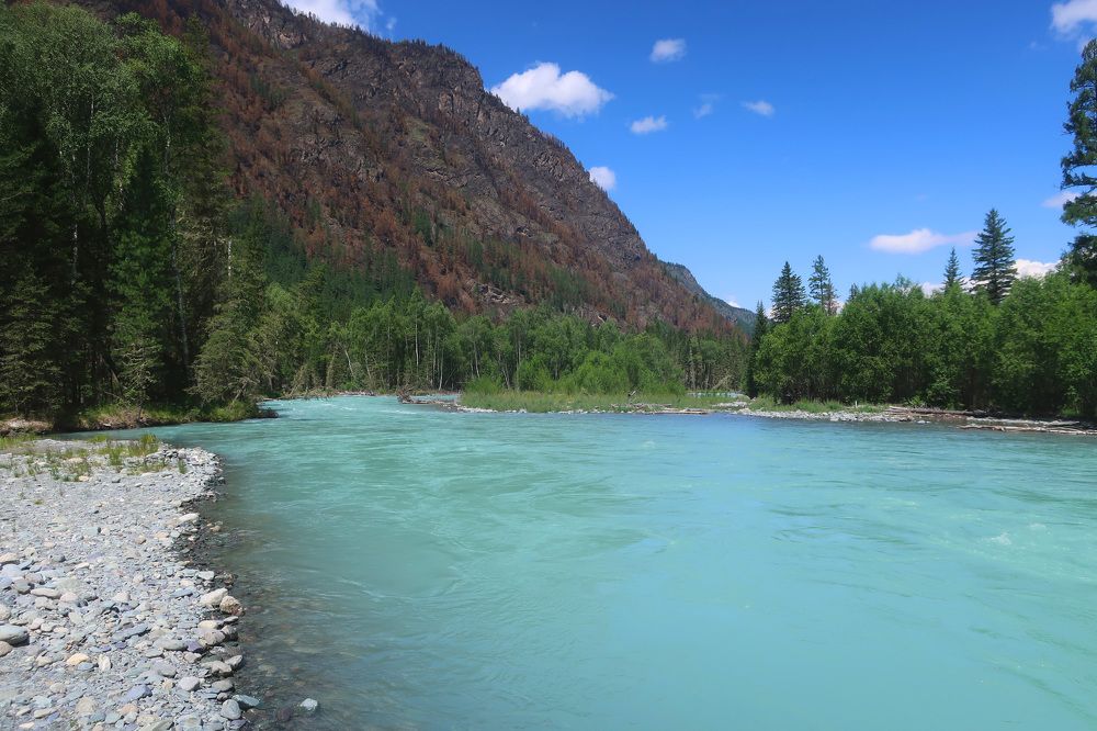 Река Кучерла