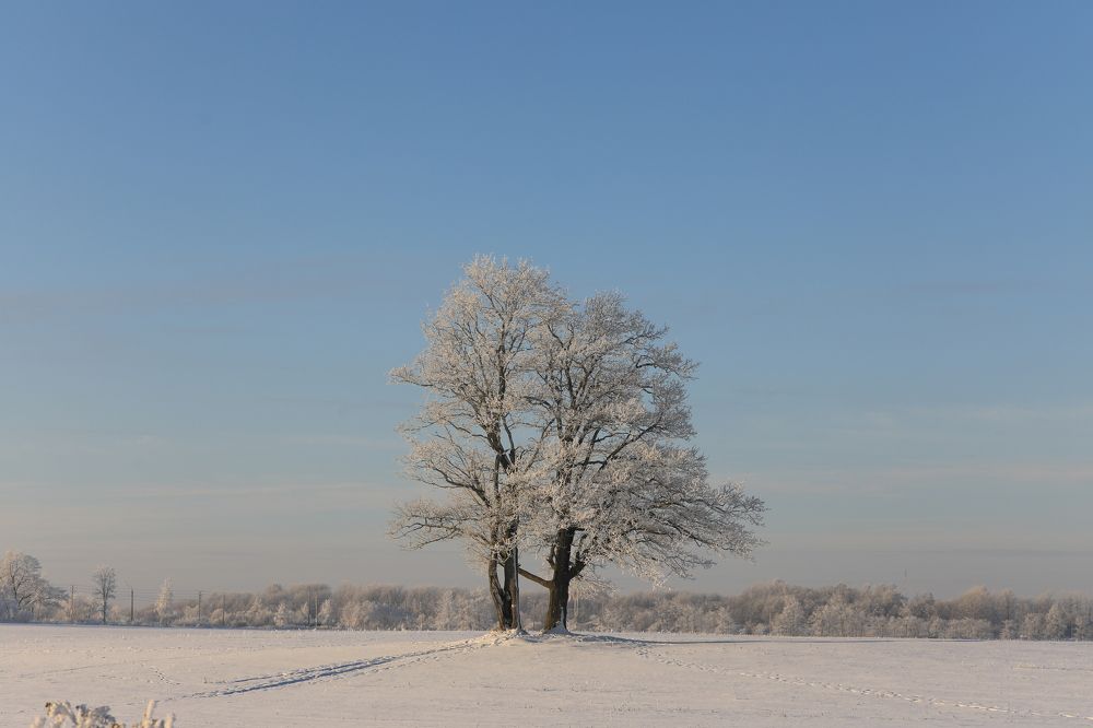 Зимний наряд