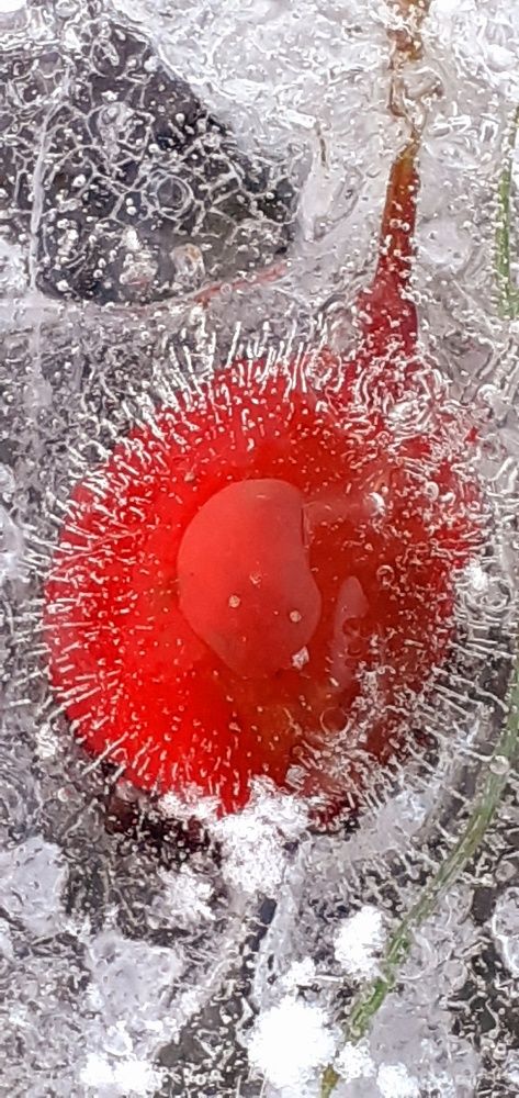 Photograph by Евгения Ульянова