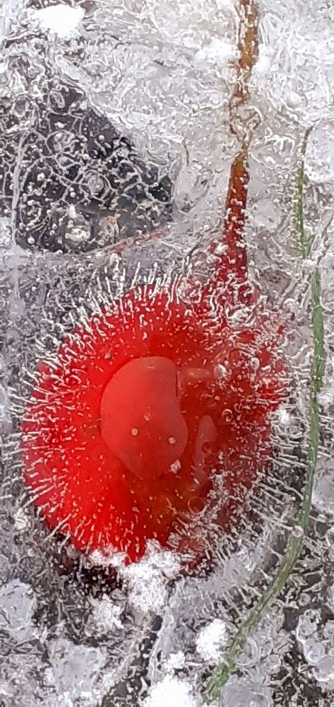 Photograph by Евгения Ульянова