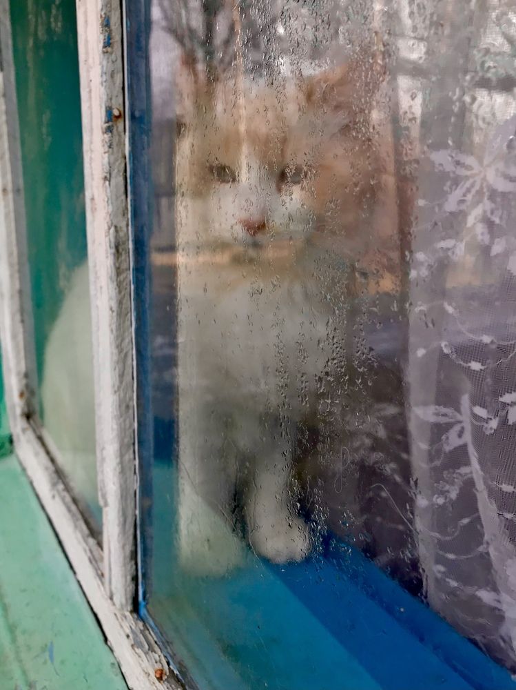 Photograph by Олеся Семёнова