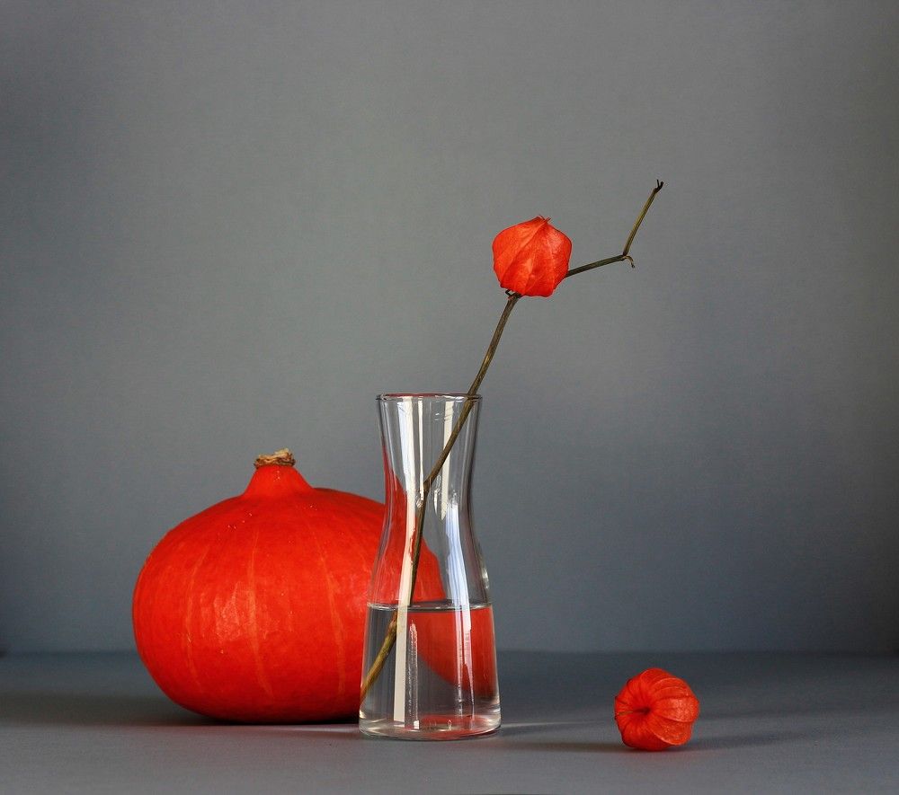 Оранжевый мотив