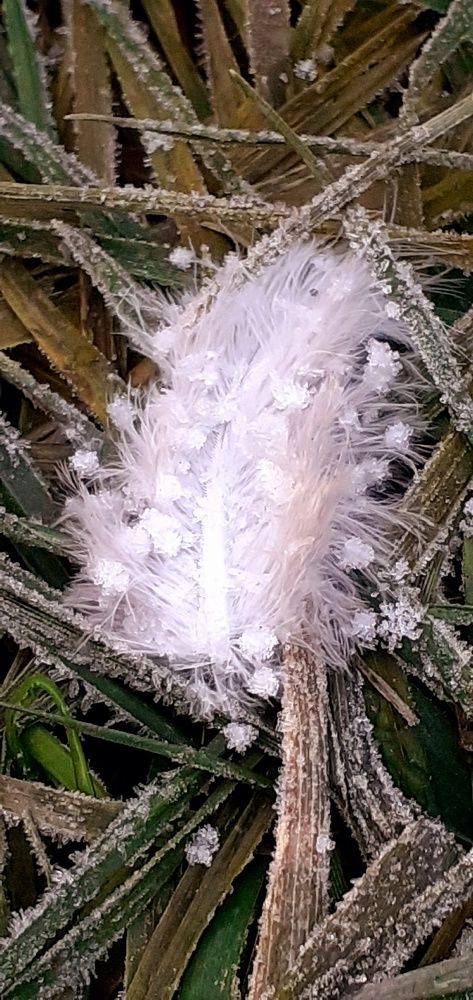 Photograph by Евгения Ульянова