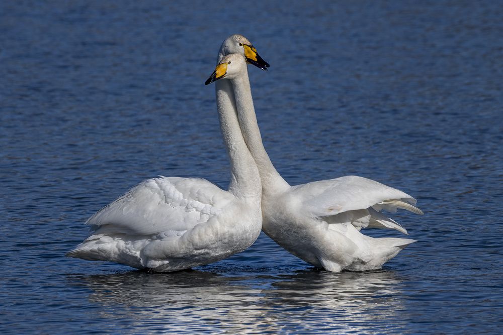 Photograph by Евгений Санин