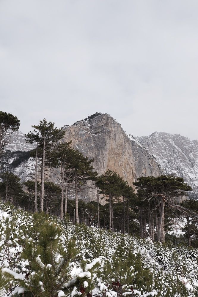 Photograph by Пузан Александр