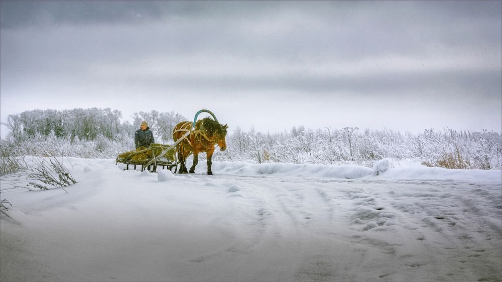 Photograph by Никитинский Александр