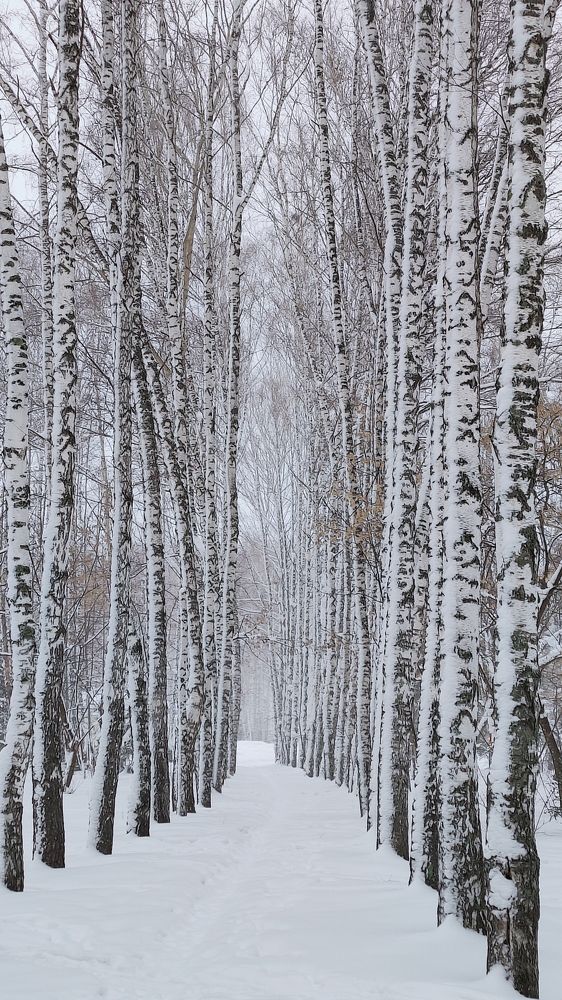 Photograph by Татьяна Гулакова