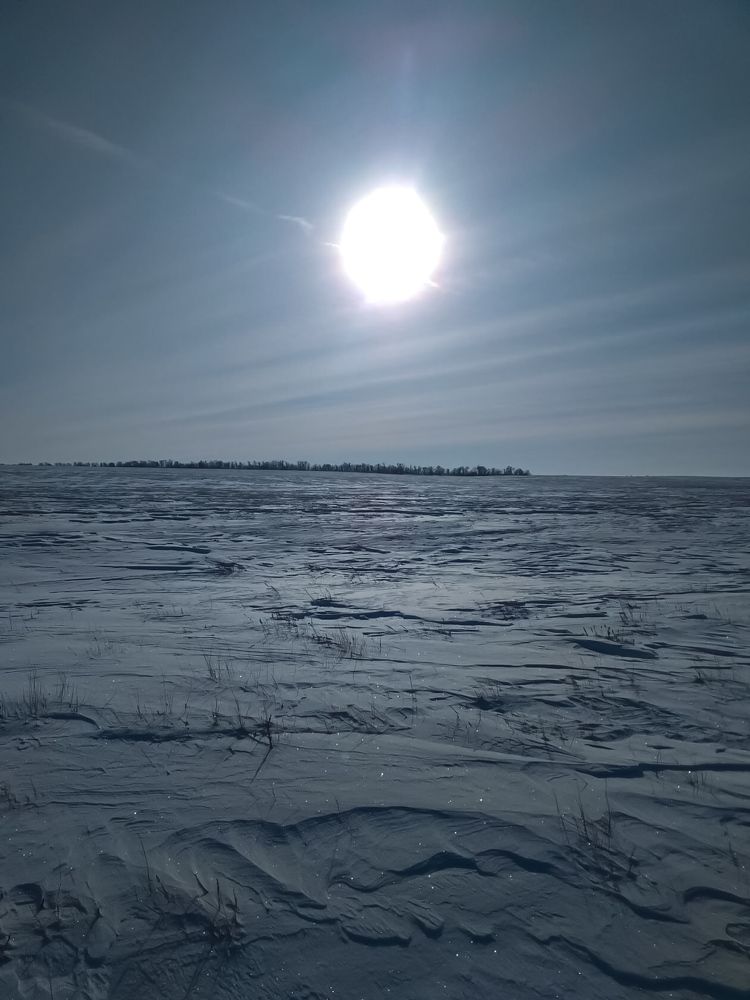 Фотография автора Светлана Матвиенко