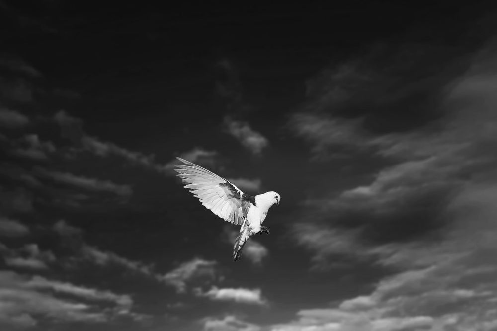 Photograph by Mahmoud Ahmed