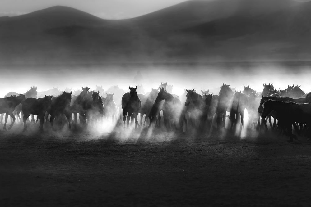 Photograph by Bahir DIBEKOGLU