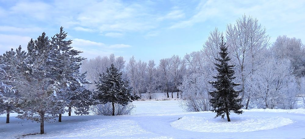 Photograph by Алина