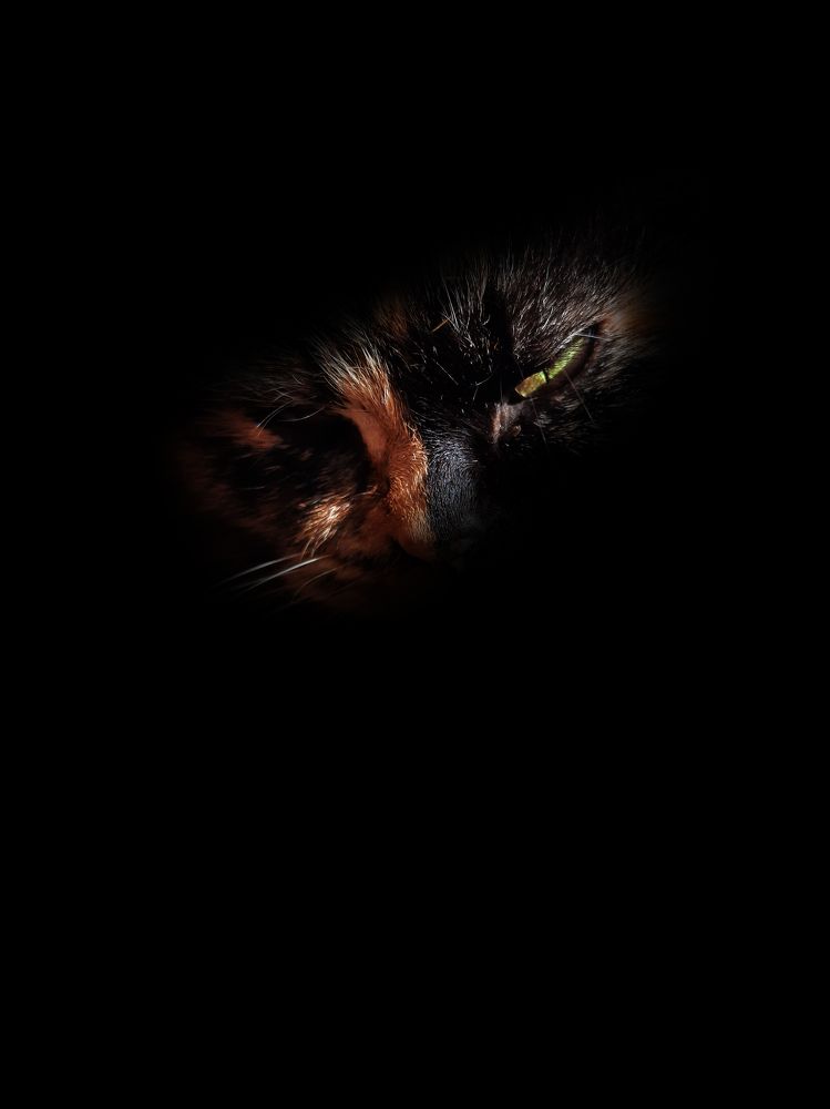 Photograph by Mahmoud Ahmed