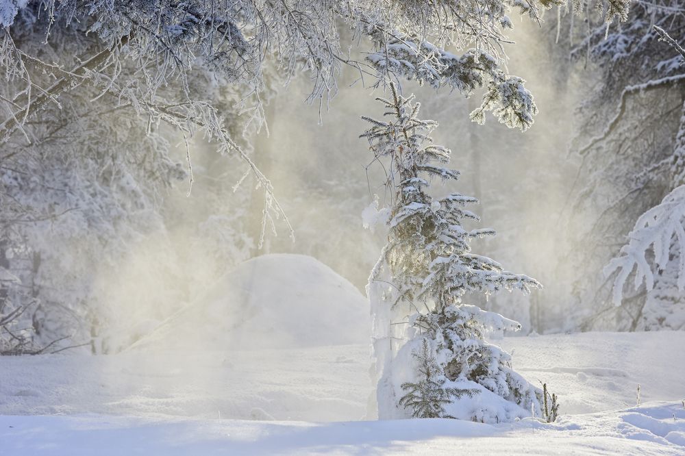 Photograph by Байбородин Михаил