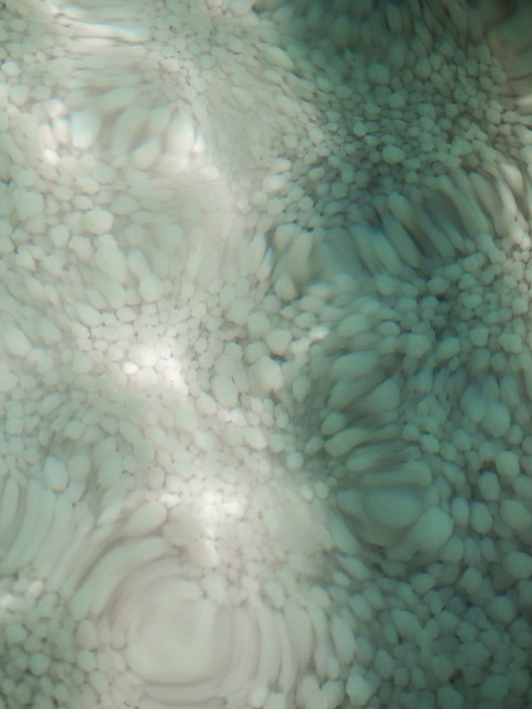 Photograph by Доляна Ашкова