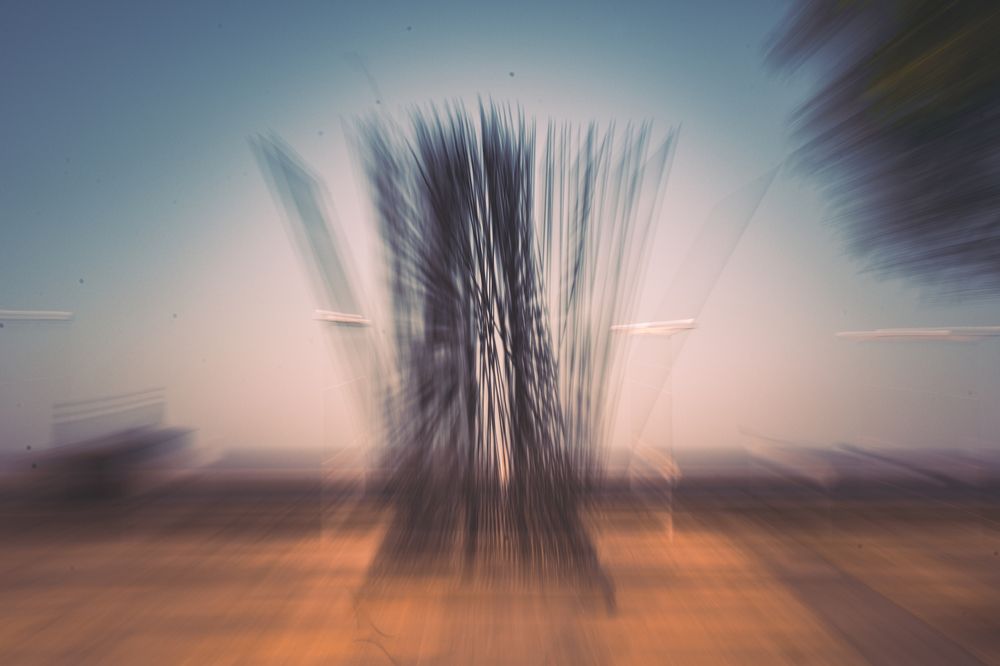 Photograph by Julio López