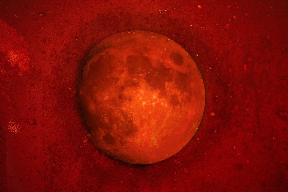 Photograph by Олег Бережных