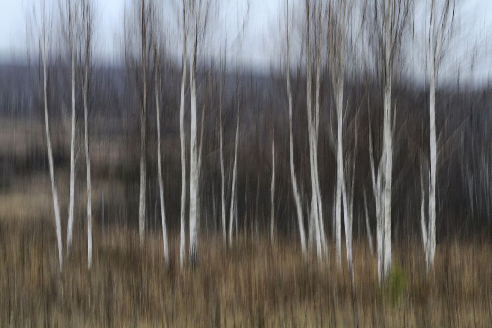 Photograph by Гагик Мхитарян