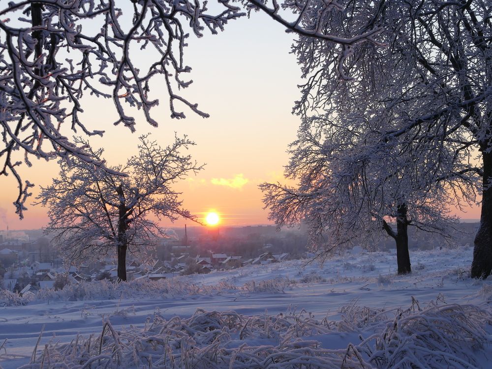 Photograph by Александр Кизим