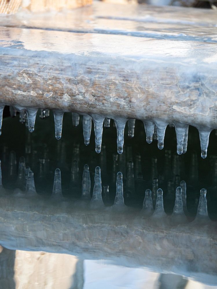 Photograph by Доляна Ашкова