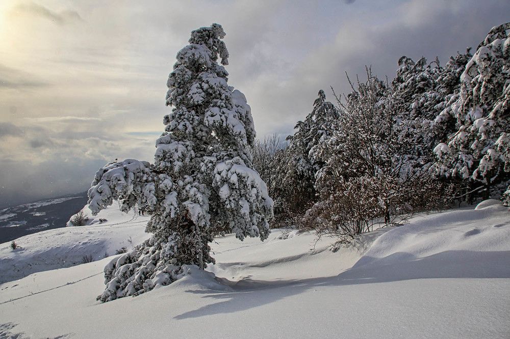 Photograph by Михаил Баевский