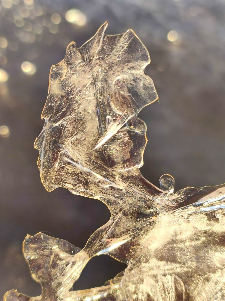 Photograph by Надежда Батракова